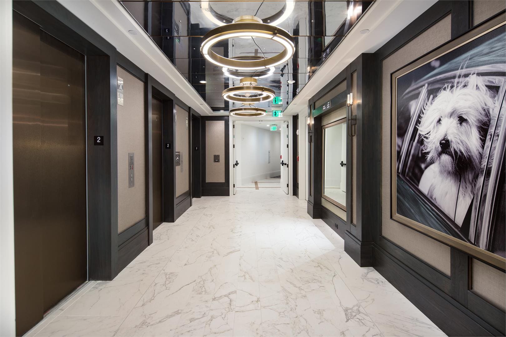 Modern elevator lobby with dog portrait.