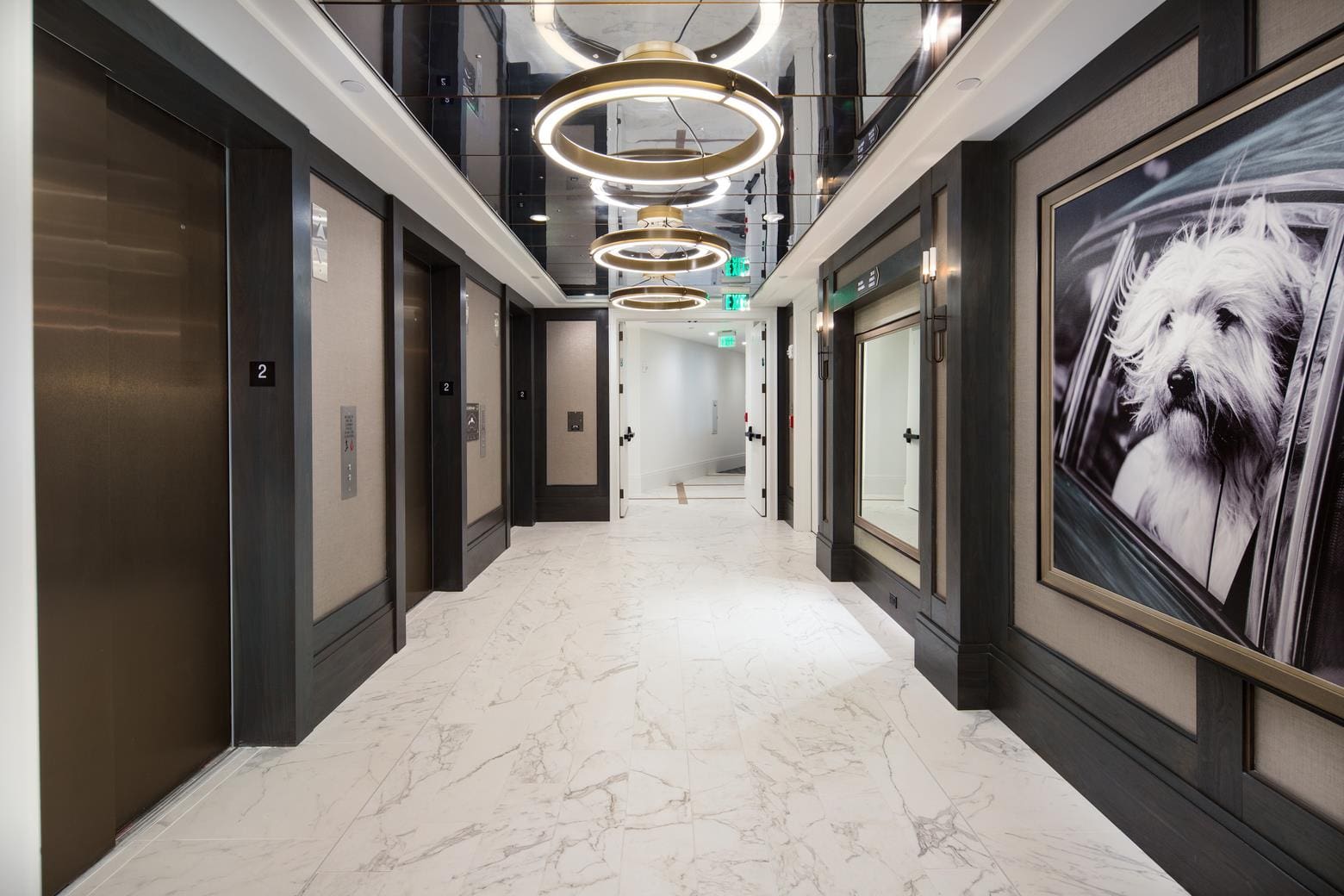 Modern elevator lobby with large dog portrait.