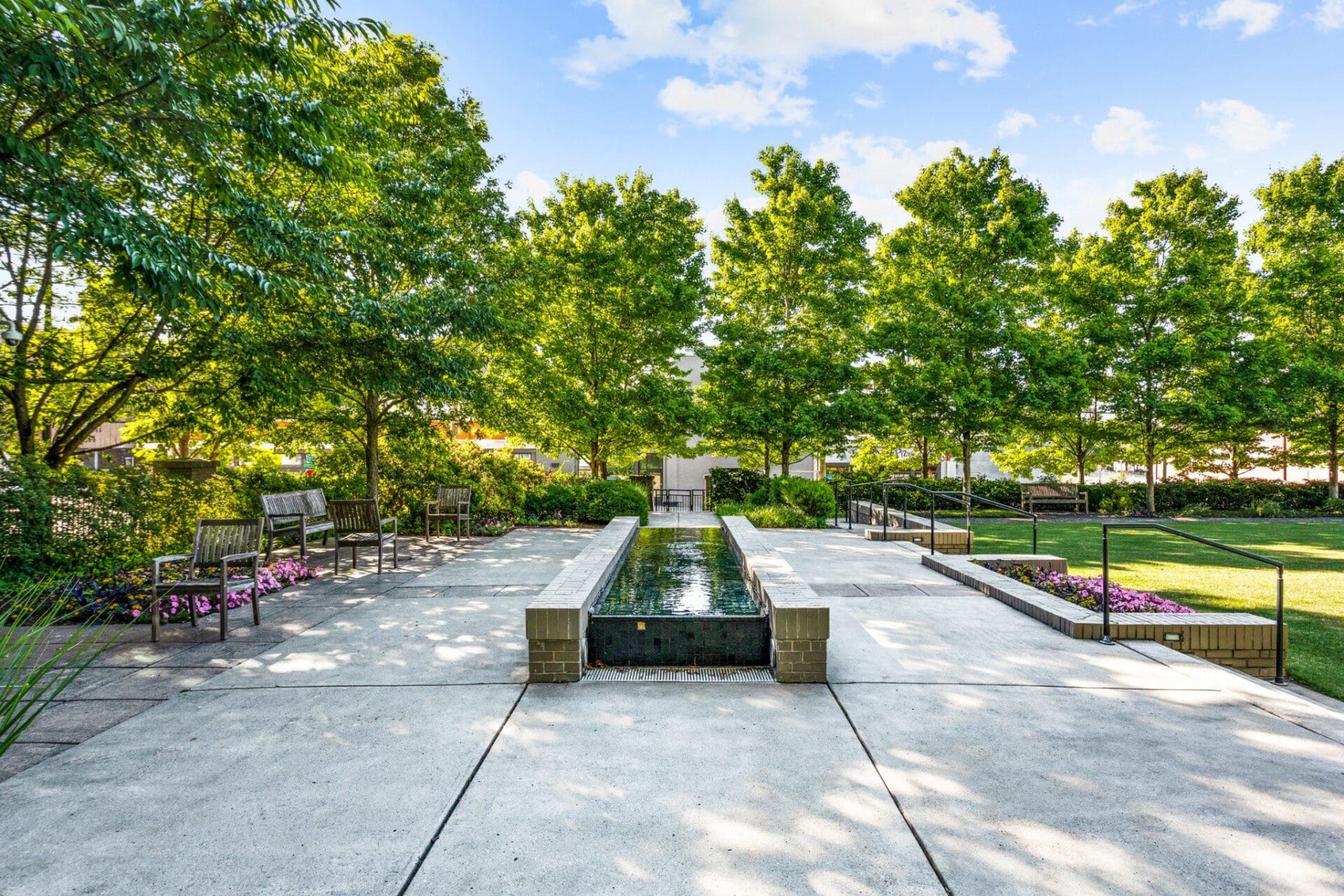 Park with fountain and surrounding green trees.