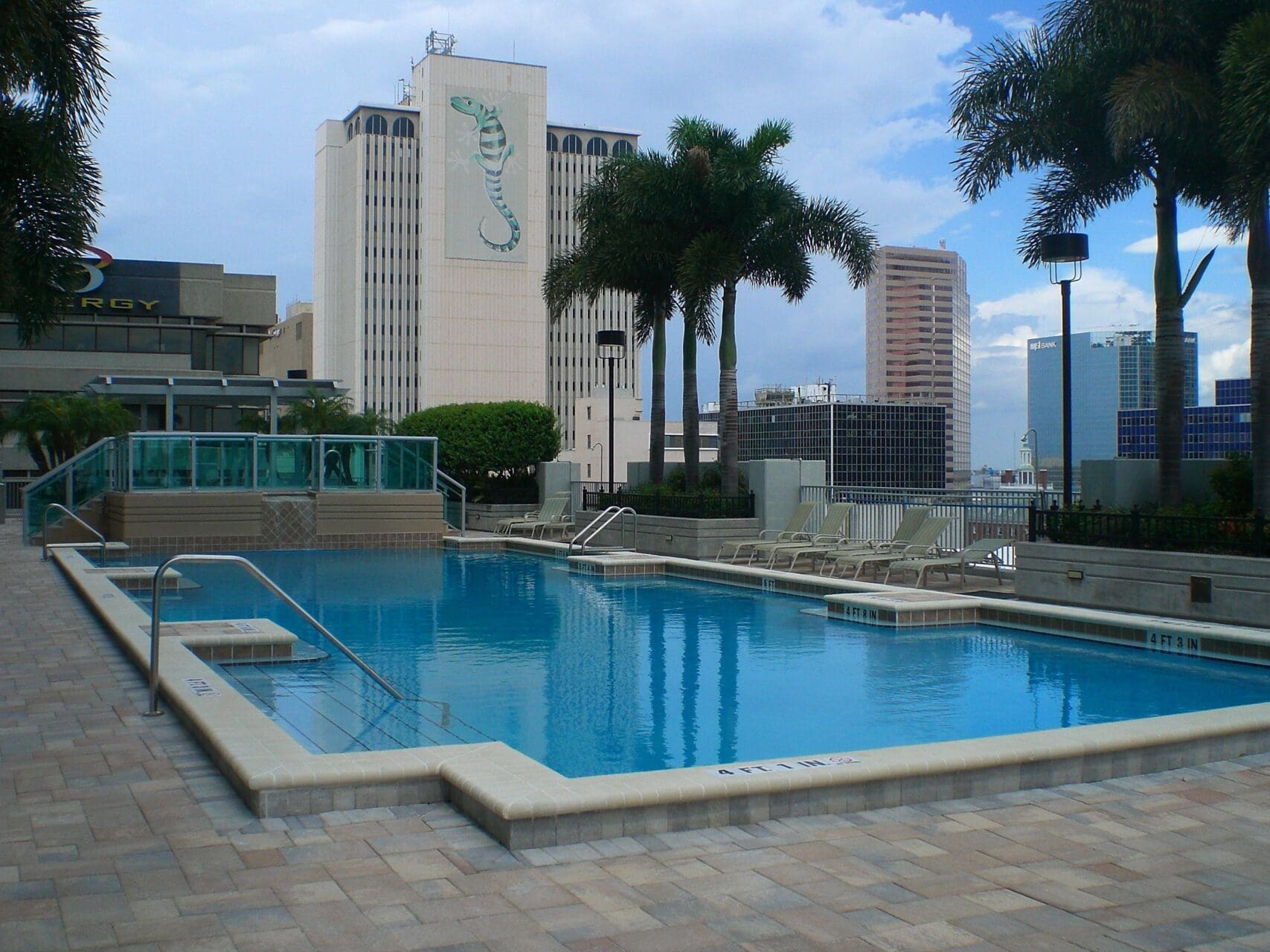 Rooftop swimming pool with city skyline view.